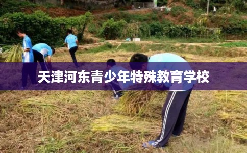 天津河东青少年特殊教育学校