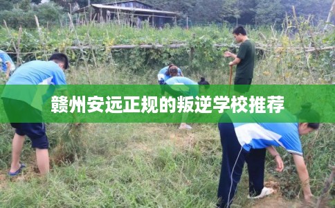 赣州安远正规的叛逆学校推荐