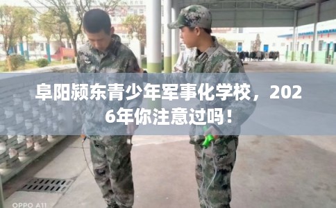 阜阳颍东青少年军事化学校，2026年你注意过吗！