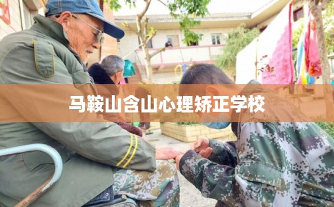 马鞍山含山心理矫正学校
