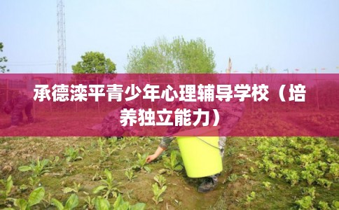 承德滦平青少年心理辅导学校（培养独立能力）