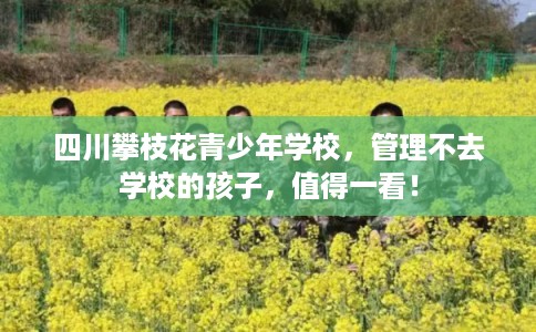四川攀枝花青少年学校，管理不去学校的孩子，值得一看！