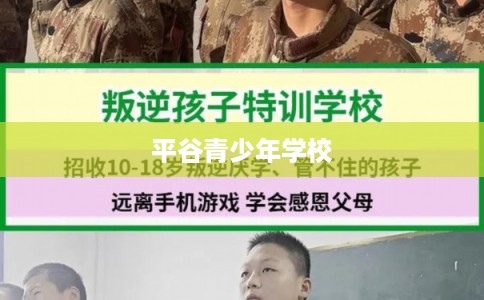 平谷青少年学校
