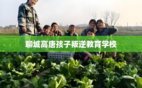 聊城高唐孩子叛逆教育学校