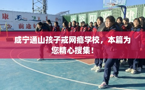 咸宁通山孩子戒网瘾学校，本篇为您精心搜集！
