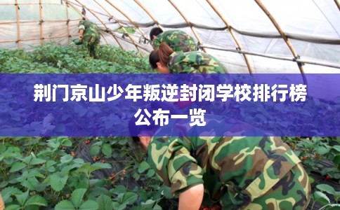 荆门京山少年叛逆封闭学校排行榜公布一览