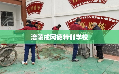 涪陵戒网瘾特训学校