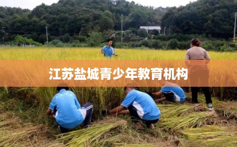 江苏盐城青少年教育机构