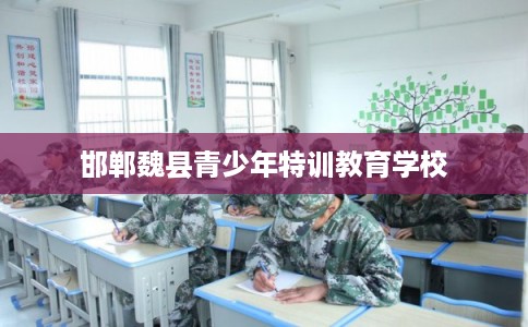 邯郸魏县青少年特训教育学校