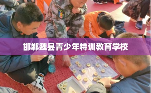 邯郸魏县青少年特训教育学校