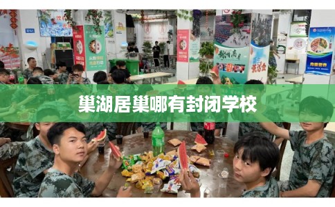 巢湖居巢哪有封闭学校