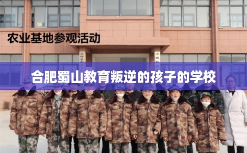 合肥蜀山教育叛逆的孩子的学校