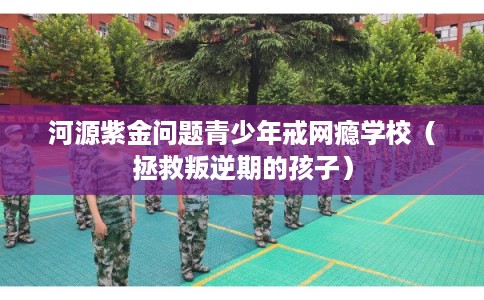 河源紫金问题青少年戒网瘾学校（拯救叛逆期的孩子）