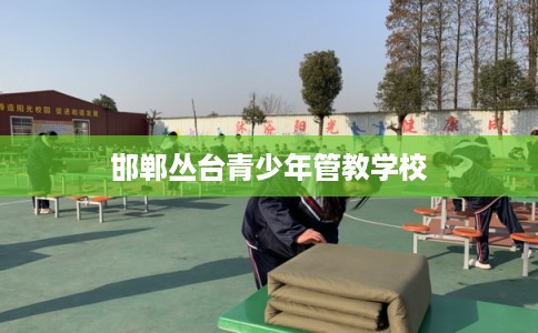 邯郸丛台青少年管教学校
