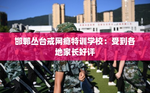 邯郸丛台戒网瘾特训学校：受到各地家长好评