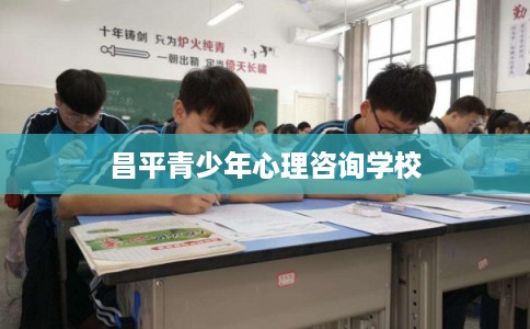 昌平青少年心理咨询学校