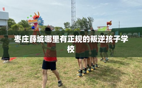 枣庄薛城哪里有正规的叛逆孩子学校