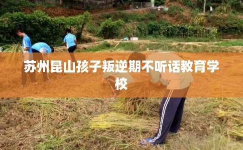 苏州昆山孩子叛逆期不听话教育学校