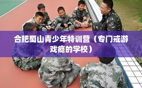 合肥蜀山青少年特训营（专门戒游戏瘾的学校）
