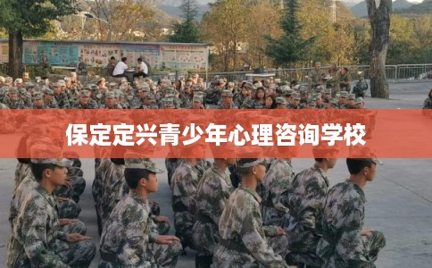保定定兴青少年心理咨询学校
