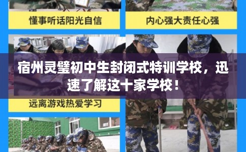 宿州灵璧初中生封闭式特训学校，迅速了解这十家学校！