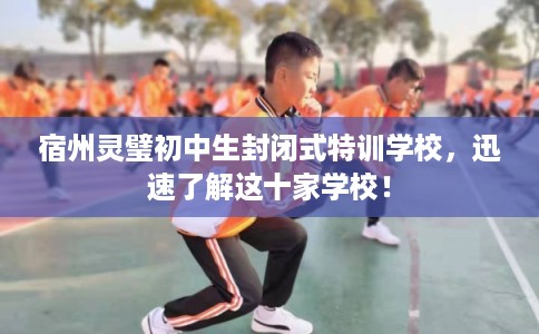 宿州灵璧初中生封闭式特训学校，迅速了解这十家学校！