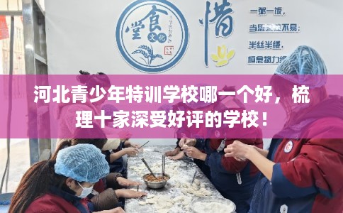 河北青少年特训学校哪一个好，梳理十家深受好评的学校！