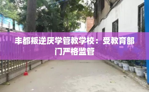 丰都叛逆厌学管教学校：受教育部门严格监管