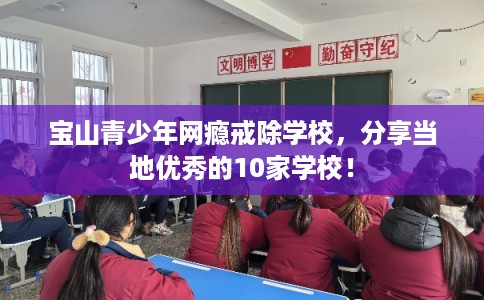 宝山青少年网瘾戒除学校，分享当地优秀的10家学校！