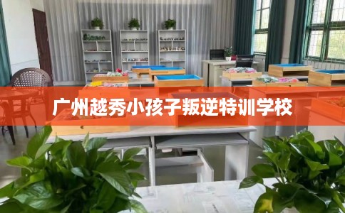 广州越秀小孩子叛逆特训学校