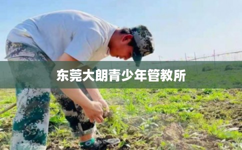 东莞大朗青少年管教所