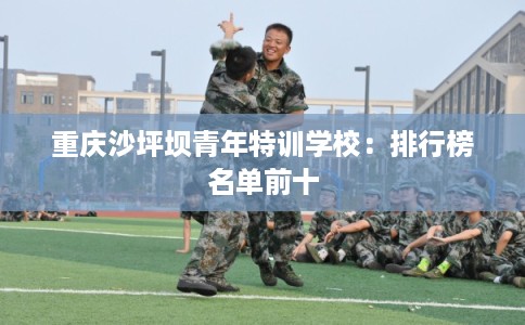 重庆沙坪坝青年特训学校：排行榜名单前十