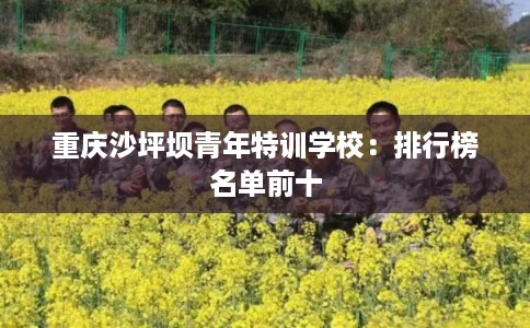 重庆沙坪坝青年特训学校：排行榜名单前十
