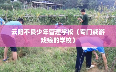 云阳不良少年管理学校（专门戒游戏瘾的学校）