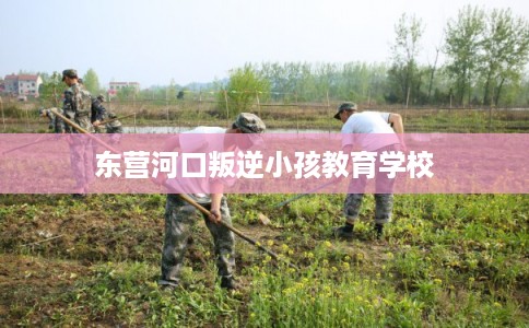 东营河口叛逆小孩教育学校