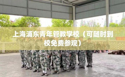 上海浦东青年管教学校（可随时到校免费参观）