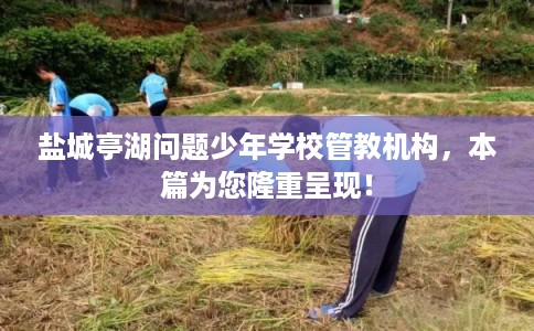 盐城亭湖问题少年学校管教机构，本篇为您隆重呈现！