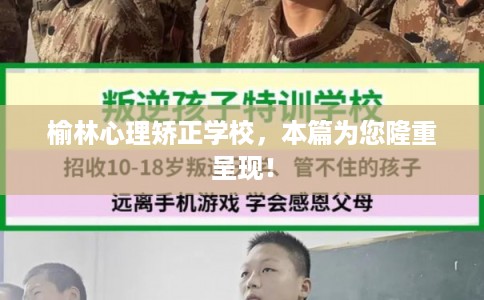 榆林心理矫正学校，本篇为您隆重呈现！