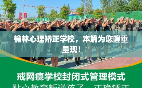 榆林心理矫正学校，本篇为您隆重呈现！