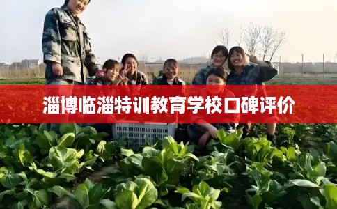 淄博临淄特训教育学校口碑评价
