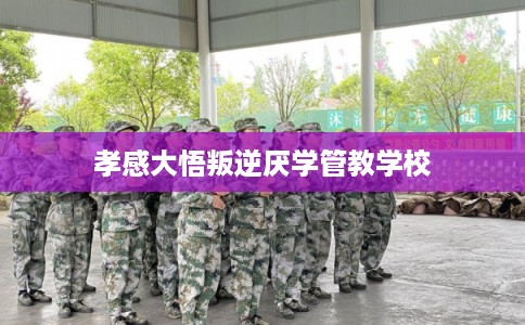 孝感大悟叛逆厌学管教学校