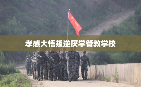 孝感大悟叛逆厌学管教学校