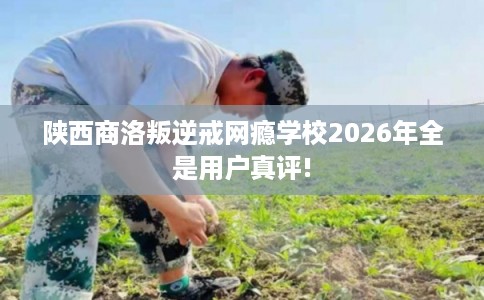陕西商洛叛逆戒网瘾学校2026年全是用户真评!