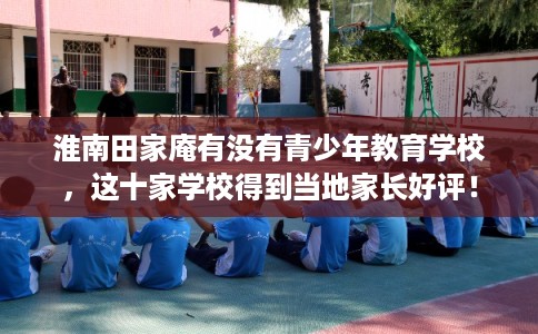淮南田家庵有没有青少年教育学校，这十家学校得到当地家长好评！