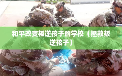 和平改变叛逆孩子的学校（拯救叛逆孩子）