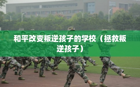 和平改变叛逆孩子的学校（拯救叛逆孩子）