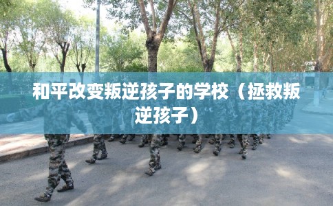 和平改变叛逆孩子的学校（拯救叛逆孩子）