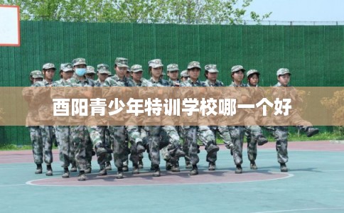 酉阳青少年特训学校哪一个好