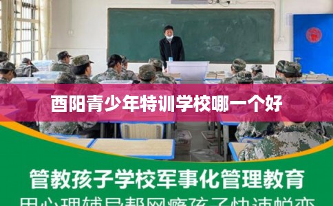 酉阳青少年特训学校哪一个好