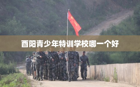 酉阳青少年特训学校哪一个好